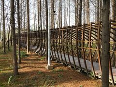 -上海浦江郊野公园-2号停车场