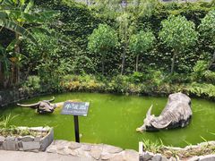 -燊海井