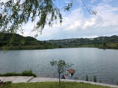 -仁和会计培训(观音桥校区)