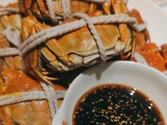 -杨氏青龙虾·羊蝎子(金盛路总店)