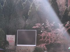 -龙口南山旅游景区