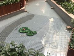 -护国新天地