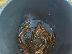 -虾胡闹龙虾馆(湄南河店)