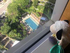 -新加坡丽思卡尔顿美年酒店