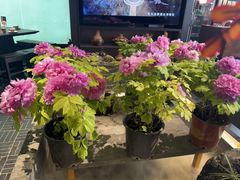 -杏花村水席楼·洛阳水席(老城十字街店)