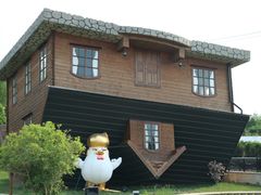 -金山农民画村-枫泾波兰倒置屋