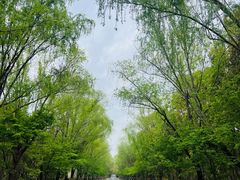 -同里国家湿地公园