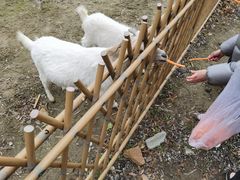 -嘉兴清池酒店温泉