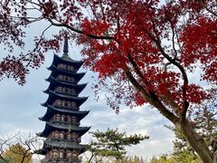 -上海方塔园