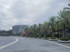 -宝安西湾红树林湿地公园