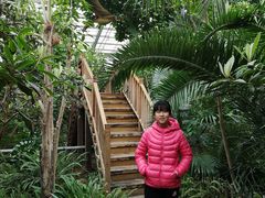 -呀路古热带植物园