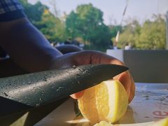 -上海吴淞炮台湾国家湿地公园