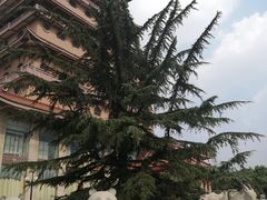 -华西村