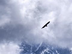 -天山天池风景区-西王母祖庙