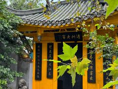 -泸州老窖景区