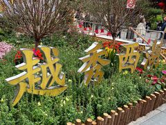 -光明广场
