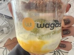 -Wagas沃歌斯(枫蓝国际店)