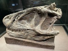 -自贡恐龙博物馆