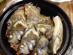 -御唐府海珊瑚主题餐厅