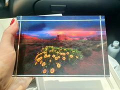 -罗红摄影艺术馆