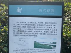 -春花秋色城市公园