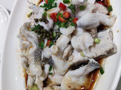 -紫光园·烤鸭(吕家营店)