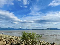 -深圳湾公园(南山区)