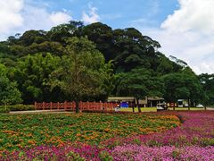 -广州市石门国家森林公园