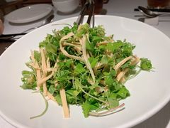 -悦融琥珀·京鲁菜·海味珍品(西单店)