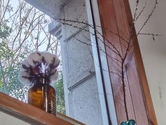 -COTTON CAFE(德信·中外公寓店)