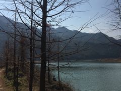 -小芝红树林