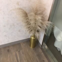 -美最美健康管理中心