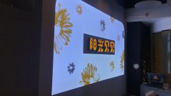 -阳光贝贝家庭影像馆