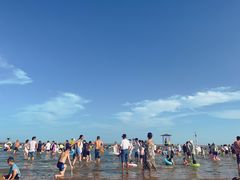 -碧海金沙
