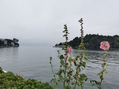 -南诏风情岛
