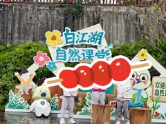 -广州白江湖森林公园