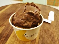 黑巧克力冰淇淋-LUNEURS月乐诗 冰淇淋咖啡(环贸店)