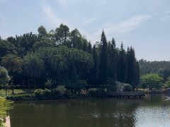 -三水森林公园