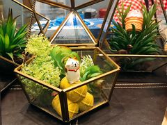 -歎雪糕低糖低脂Gelato冰淇淋