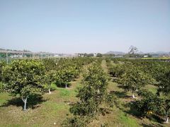 -白沙门生态公园