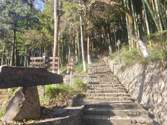 -莫干山风景区