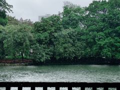 -荔湾湖公园