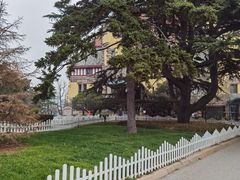 -青岛德国总督楼旧址博物馆