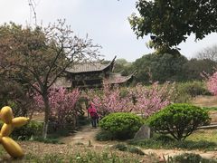 -白马涧龙池景区