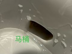 -上海佘山茂御臻品之选酒店(原佘山艾美酒店)