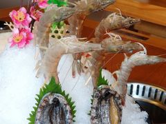 -尚海豆捞(乐虹坊店)