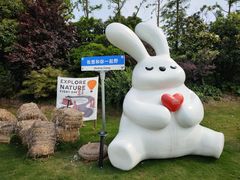 -广富林郊野公园