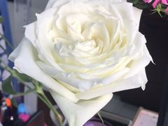 -桂桂茶(繁花中心店)