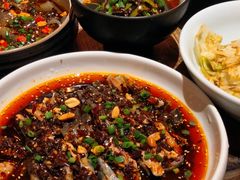 -铁公鸡·四川料理(天环广场店)