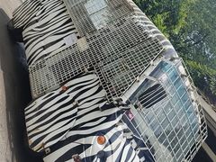 -贵州森林野生动物园